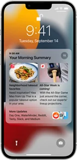 iPhone 13 pro max free government phone